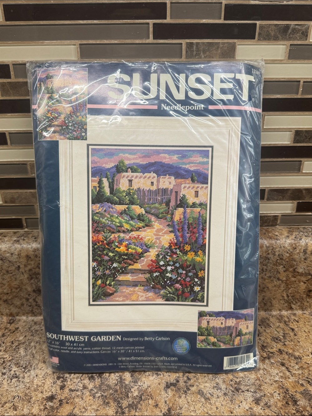 Sunset Needlepoint Southwest Garden Wall Art Kit - Multicolor Garden Scene